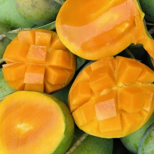 সাতক্ষীরার স্পেশাল গোবিন্দভোগ আম